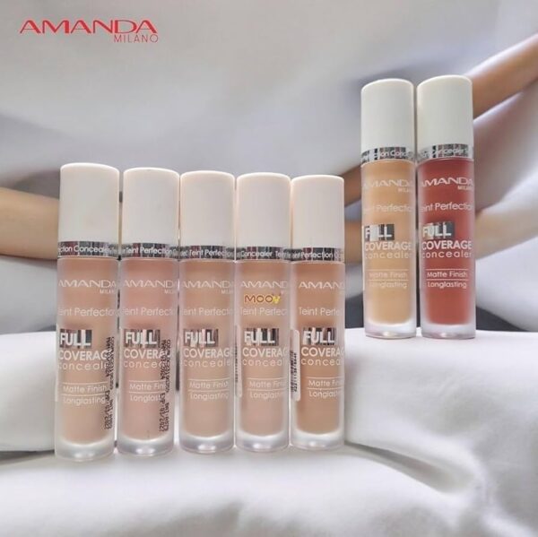 Amanda Teint Perfection Concealer