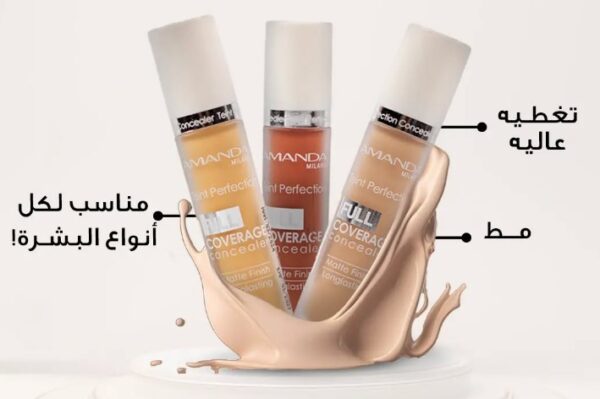 Amanda Teint Perfection Concealer