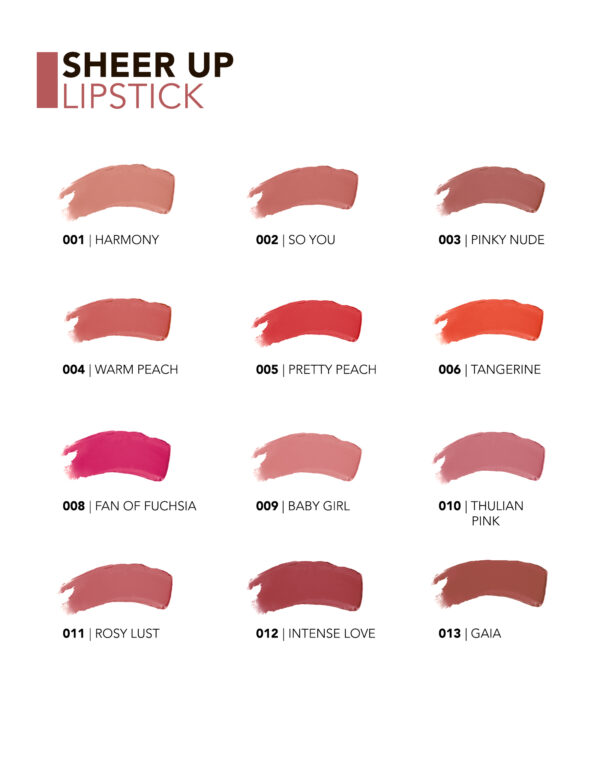 8682536011990_11.jpg Flormar Sheer Up Lipstick